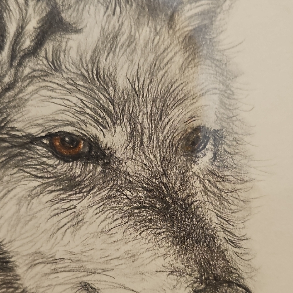 Gray Wolf Illustration in Gray Frame - Picture 6 of 11
